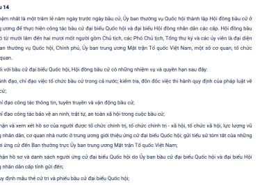 Luật sửa đổi, bổ sung một số điều của Luật Bầu cử đại biểu Quốc hội và đại biểu Hội đồng nhân dân