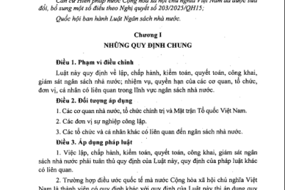 Luật Ngân sách nhà nước năm 2025