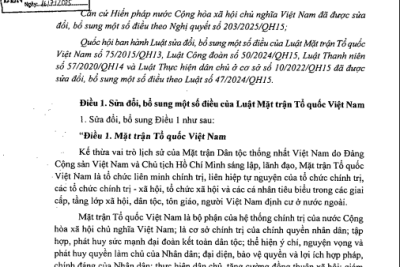 Luật sửa đổi, bổ sung một số điều của Luật Mặt trận Tổ quốc Việt Nam, Luật Công đoàn, Luật Thanh niên và Luật Thực hiện dân chủ ở cơ sở;